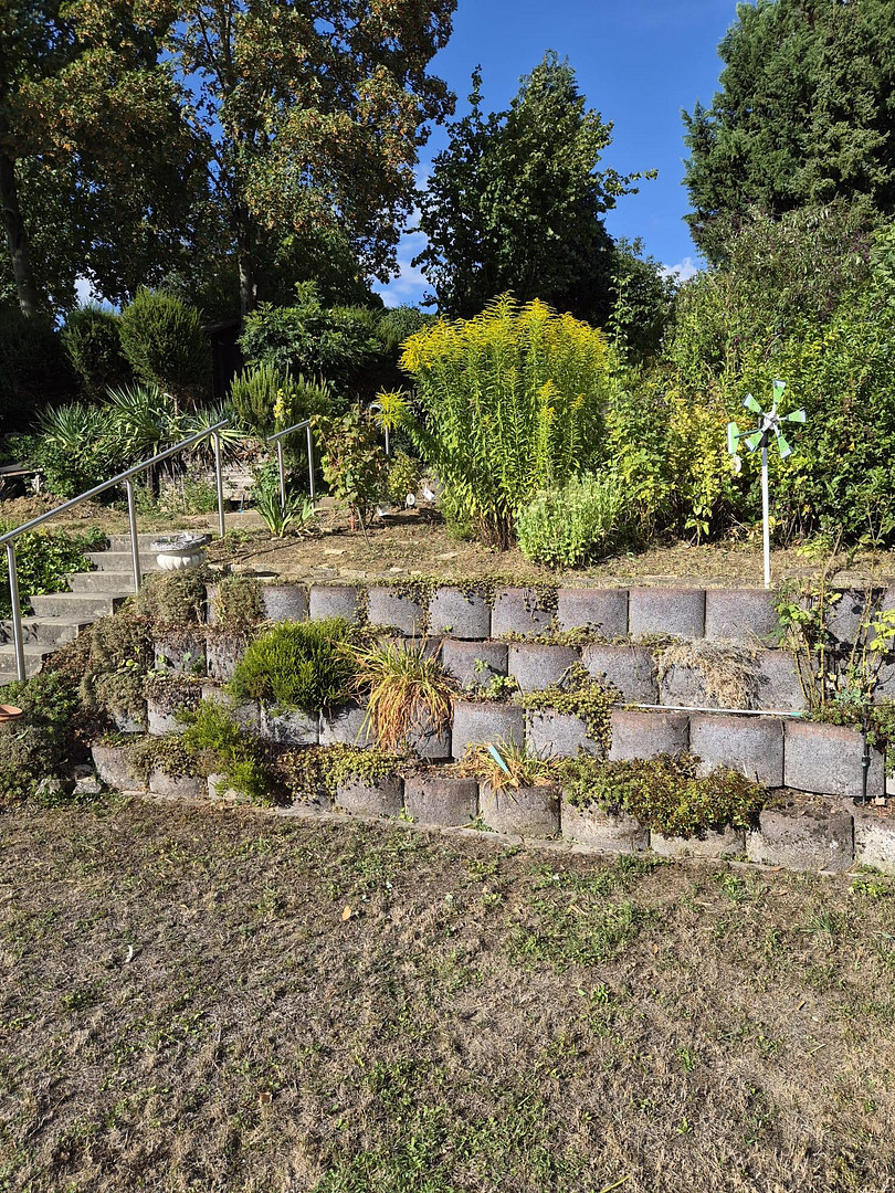 Stadtnahe, idyllische Terassen/Gartenwohnung in ruhiger Weinberglage – 55129 Mainz-Hechtsheim(Hechtsheim) – Vorschaubild 7