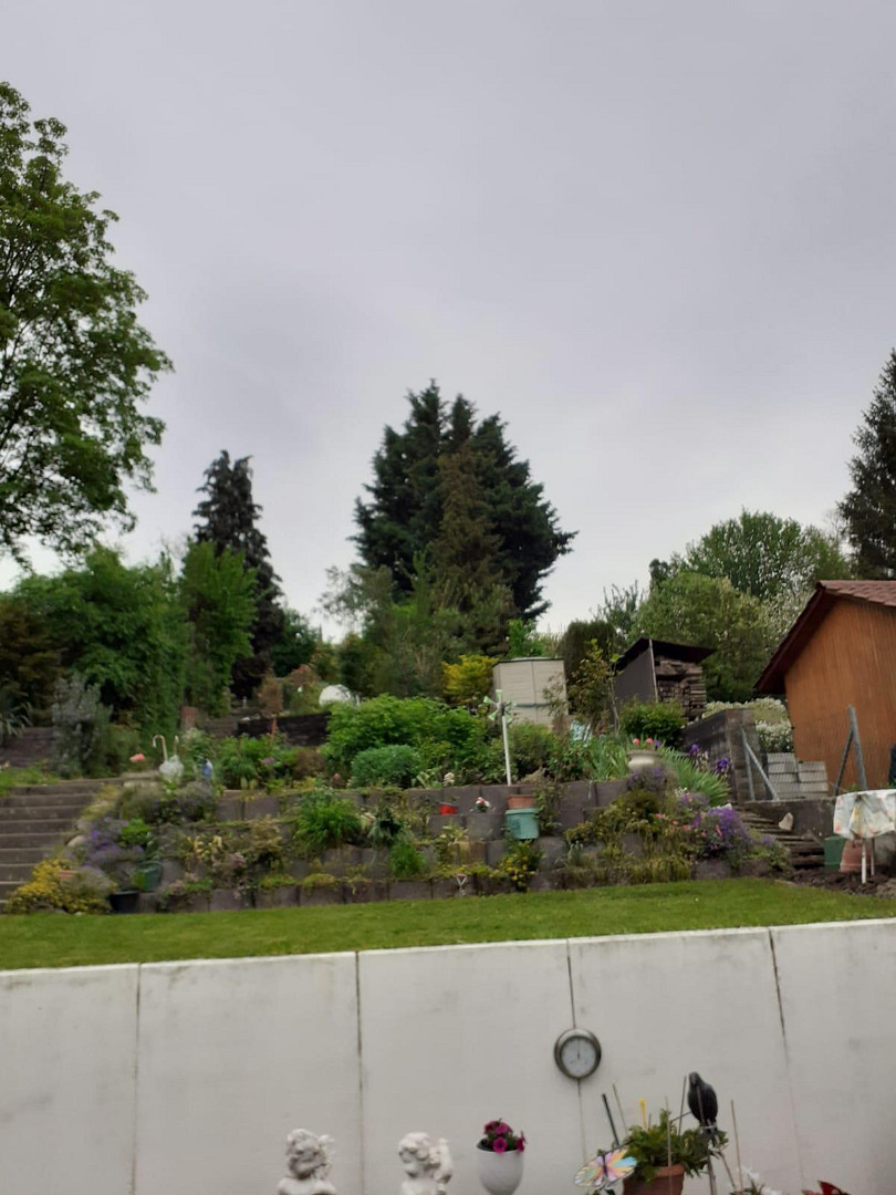 Stadtnahe, idyllische Terassen/Gartenwohnung in ruhiger Weinberglage – 55129 Mainz-Hechtsheim(Hechtsheim) – Vorschaubild 4