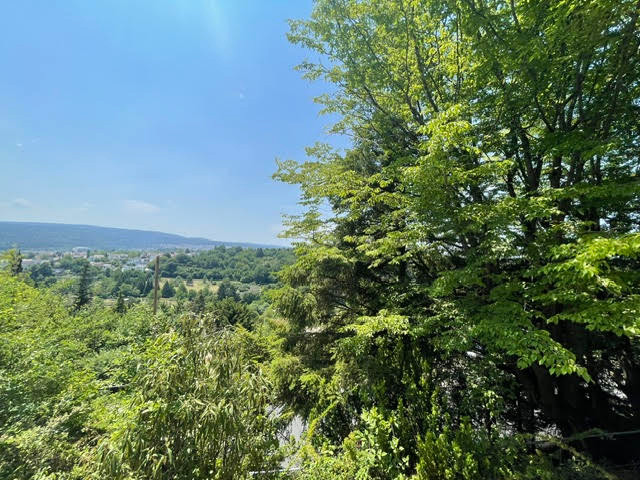 #Alleinlage #parkähnlicher Garten #Südhang #Stadtvilla #2-Familienhaus #provisionsfrei – Ersinger Straße 98, 75179 Pforzheim – Vorschaubild 27