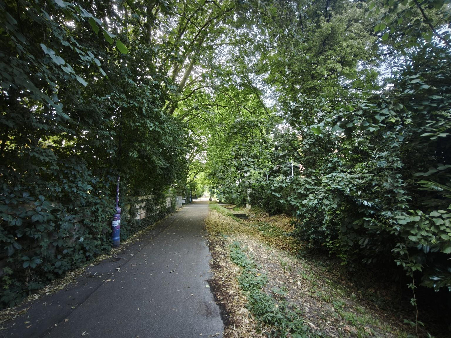 Licht. Ruhe. Natur. Exklusive 5-Zimmer-Wohnung in bester Vauban-Lage – 79100 Freiburg(Vauban) – Vorschaubild 30
