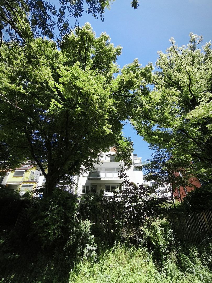 Licht. Ruhe. Natur. Exklusive 5-Zimmer-Wohnung in bester Vauban-Lage – 79100 Freiburg(Vauban) – Vorschaubild 21