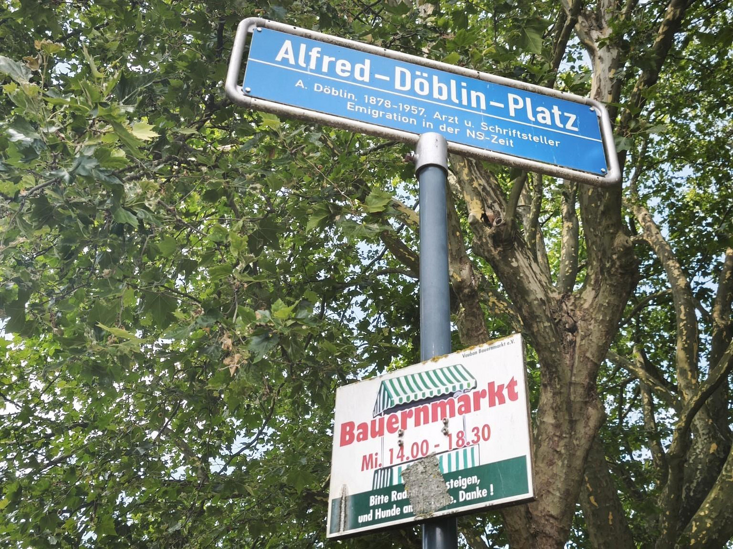 Licht. Ruhe. Natur. Exklusive 5-Zimmer-Wohnung in bester Vauban-Lage – 79100 Freiburg(Vauban) – Vorschaubild 34