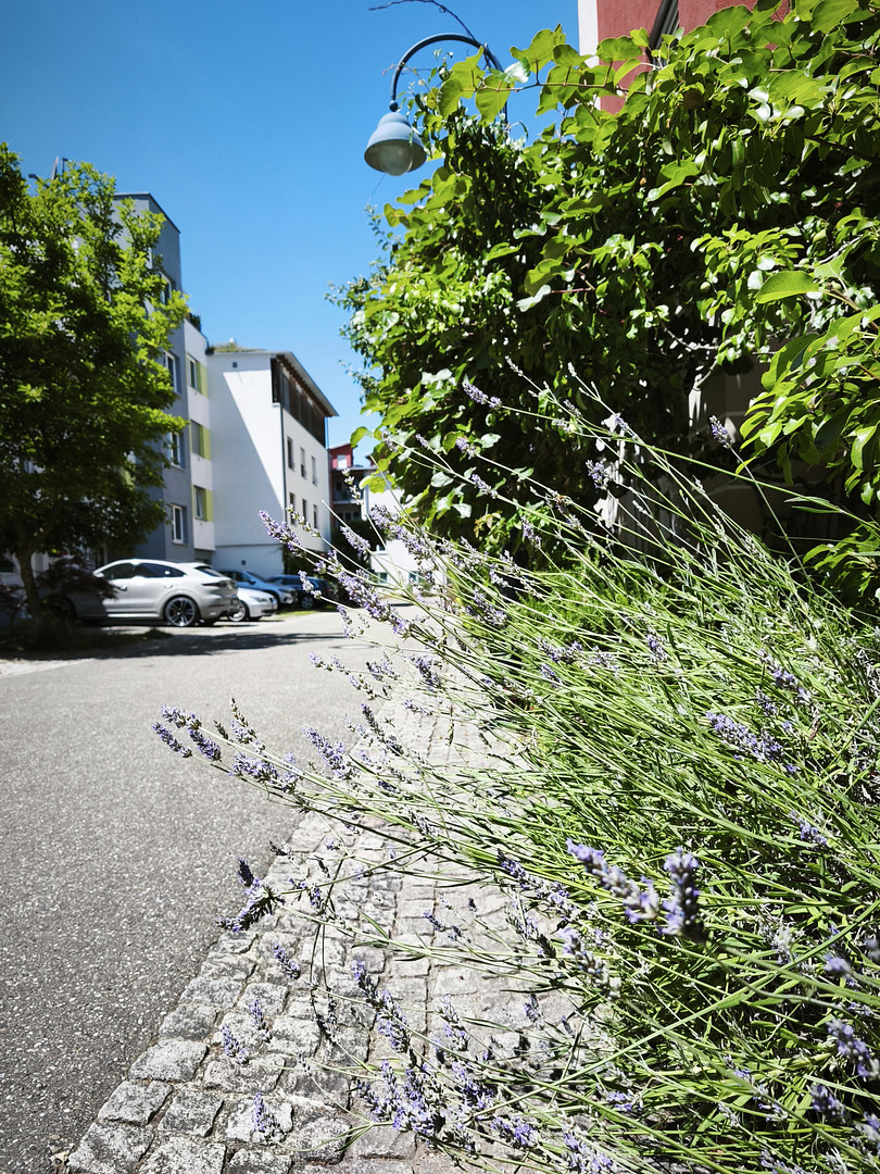 Licht. Ruhe. Natur. Exklusive 5-Zimmer-Wohnung in bester Vauban-Lage – 79100 Freiburg(Vauban) – Vorschaubild 28