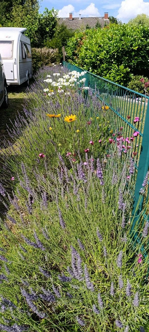 Ruheoase zwischen Elbe, Feld & Wald – Hamburg(Iserbrook) – Vorschaubild 26