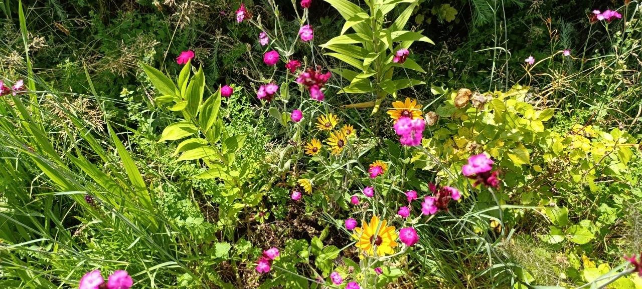 Ruheoase zwischen Elbe, Feld & Wald – Hamburg(Iserbrook) – Vorschaubild 29