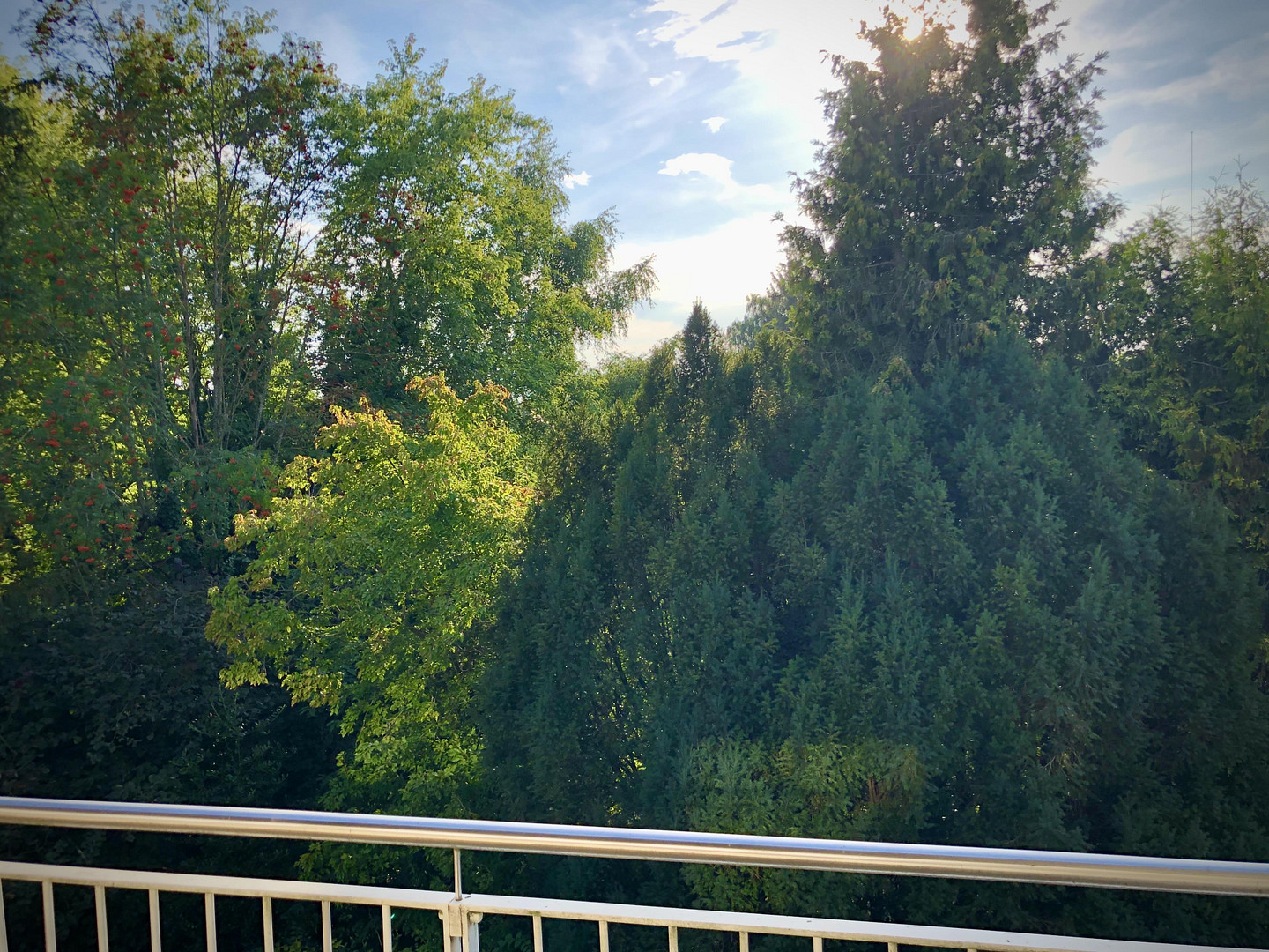 *** 3 Zimmer Wohnung mit ruhiger Terrasse in Bogenhausen Denning 2.OG *** – 81927 München(Denning) – Vorschaubild 3