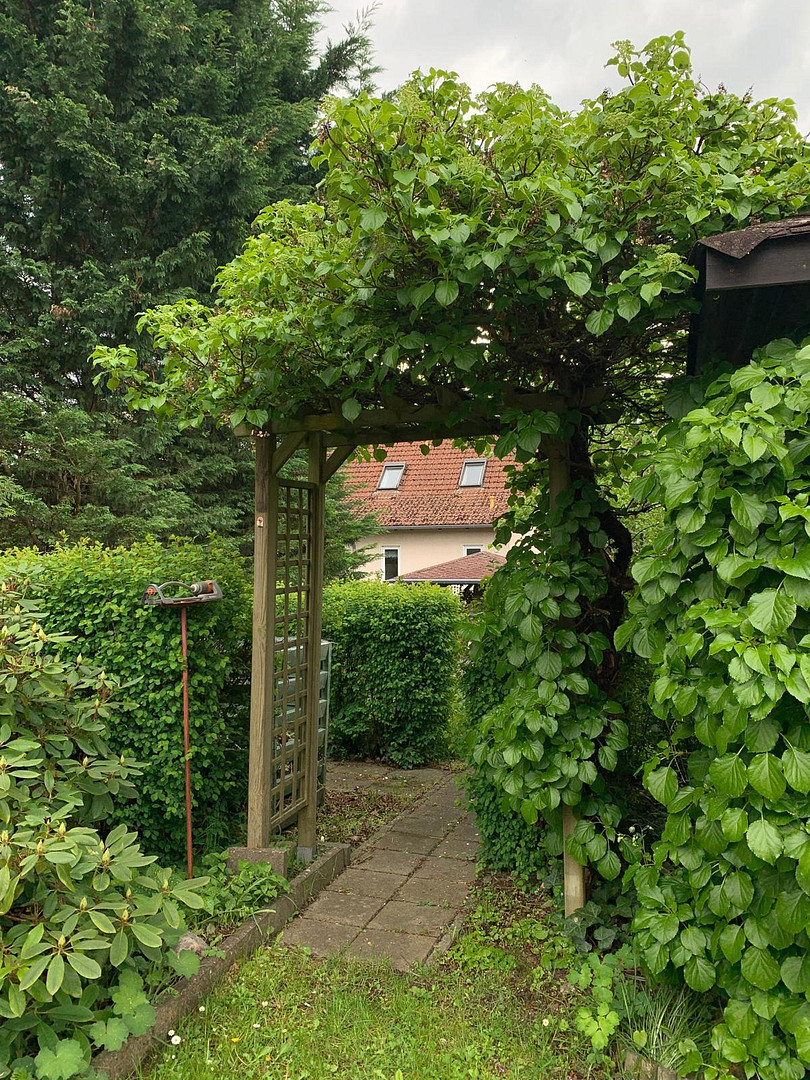 Einfamilienhaus in Rheinsberg – Rheinsberg – Vorschaubild 5