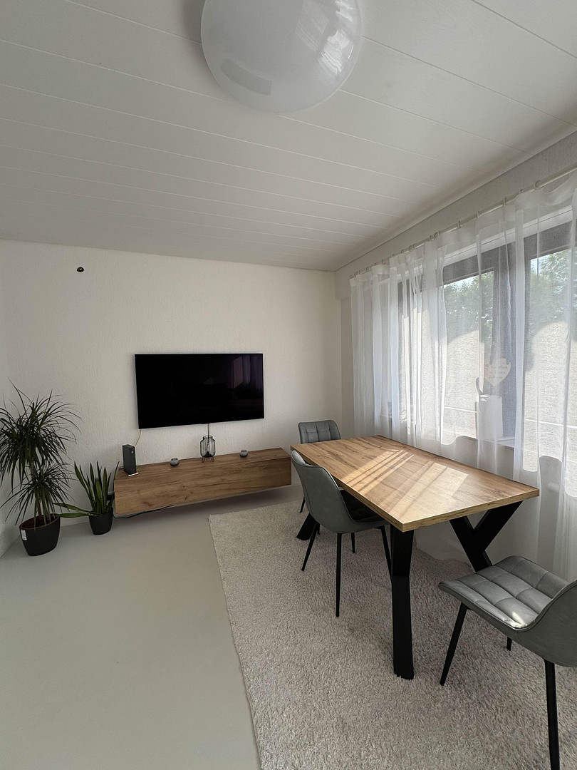 Sanierte Designer-2-Zimmer-Wohnung mit Stellplatz in Reutlingen-Sondelfingen, provisionsfrei – Hopfengartenstraße 94, 72766 Reutlingen(Sondelfingen) – Vorschaubild 3