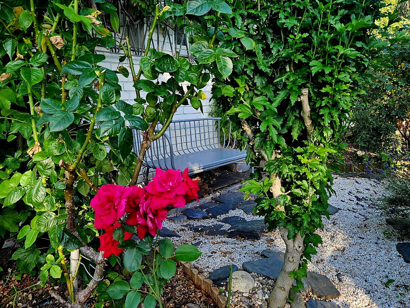 Top gepflegtes Haus*traumhafter Garten*zentrumsnah & naturverbundener Stadtteil Köln*3 Wohnkonzepte – Köln-Auweiler(Auweiler) – Vorschaubild 31