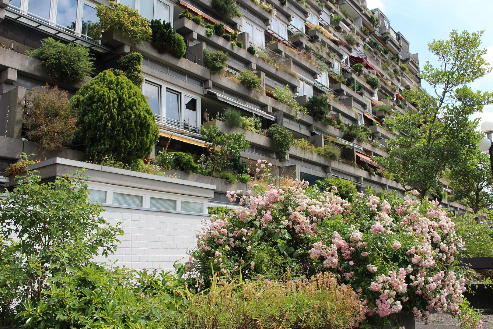 Wunderschöne 4-Zimmer Wohnung über 3 Ebenen im Terrassenhaus Hannover – 30455 Hannover(Davenstedt) – Vorschaubild 2