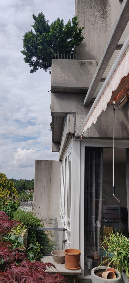 Wunderschöne 4-Zimmer Wohnung über 3 Ebenen im Terrassenhaus Hannover – 30455 Hannover(Davenstedt) – Vorschaubild 17