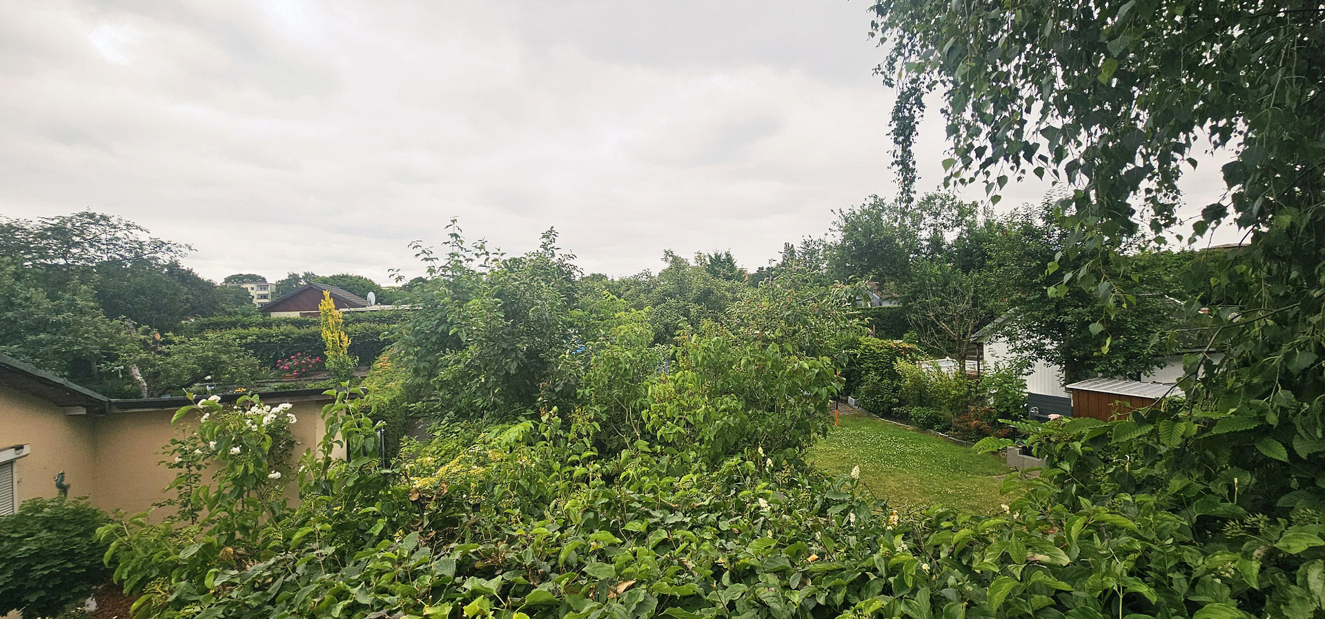 Von Privat! Sehr gut vermietete helle Wohnung, 2ZKB, gr. Balkon mit herrlichem Weitblick – Belfaster Strasse, 13349 Wedding – Vorschaubild 28