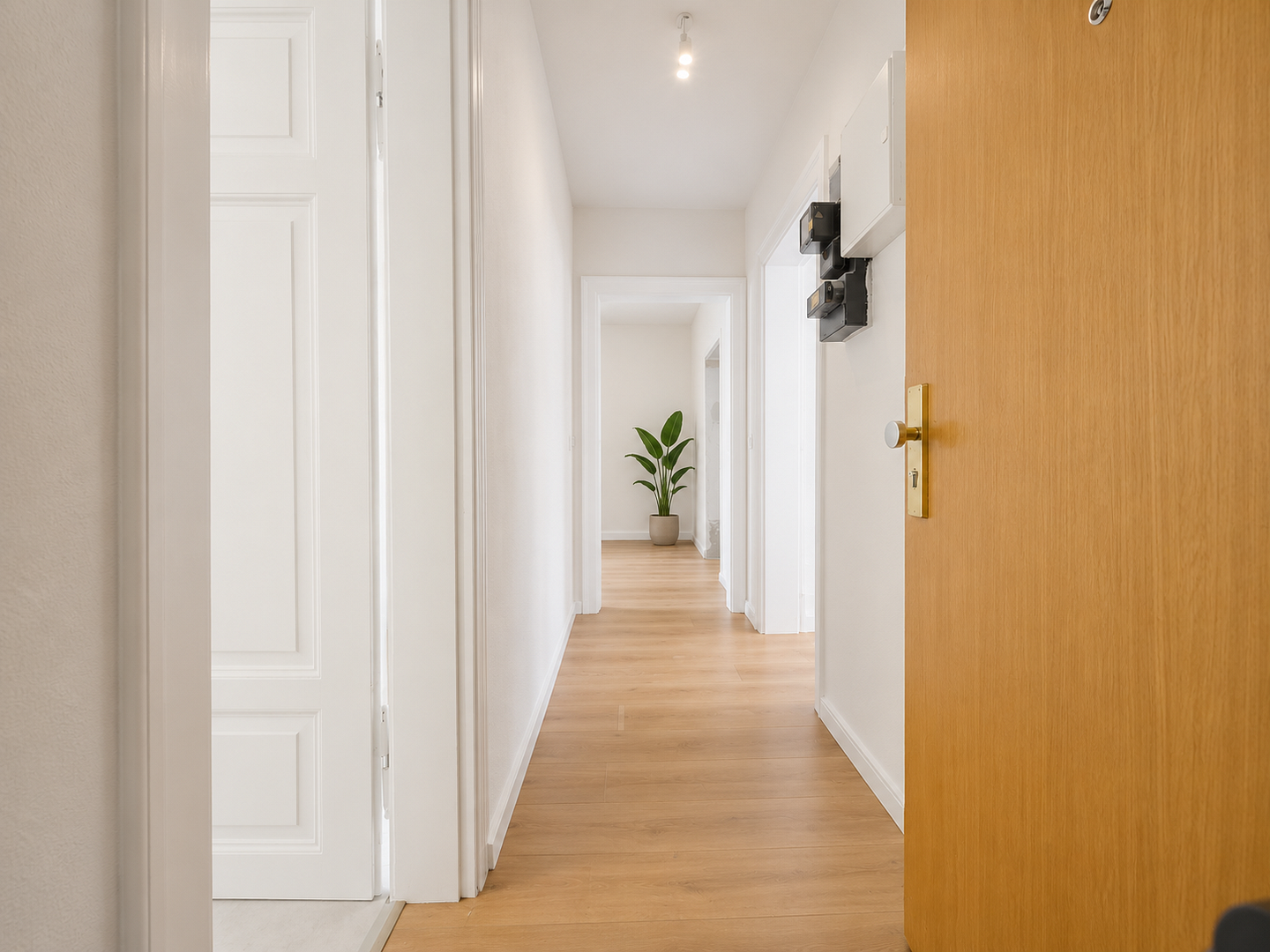 Provisionsfrei: 6 % Rendite – frisch sanierte 3-Zimmer-WG in Nürnberg – sofort vermietbar – Wilhelmstr. 16, 90439 Nürnberg(St. Leonhard) – Vorschaubild 6
