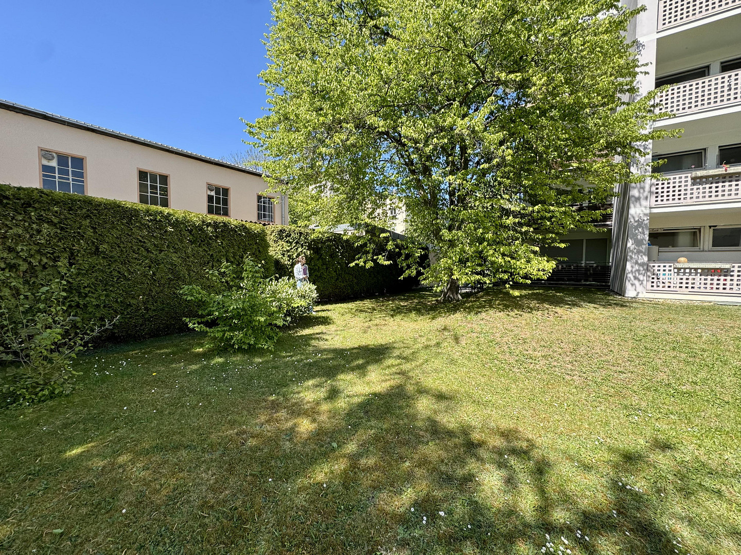 Charmante 1-Zimmer-Wohnung mit großem Balkon & Einbauküche – ruhig & grün im Westenviertel – Regensburg(Westenviertel) – Vorschaubild 21