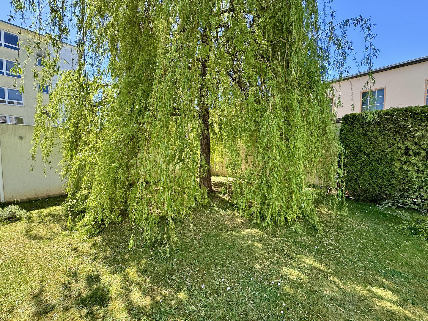 Charmante 1-Zimmer-Wohnung mit großem Balkon & Einbauküche – ruhig & grün im Westenviertel – Regensburg(Westenviertel) – Vorschaubild 22