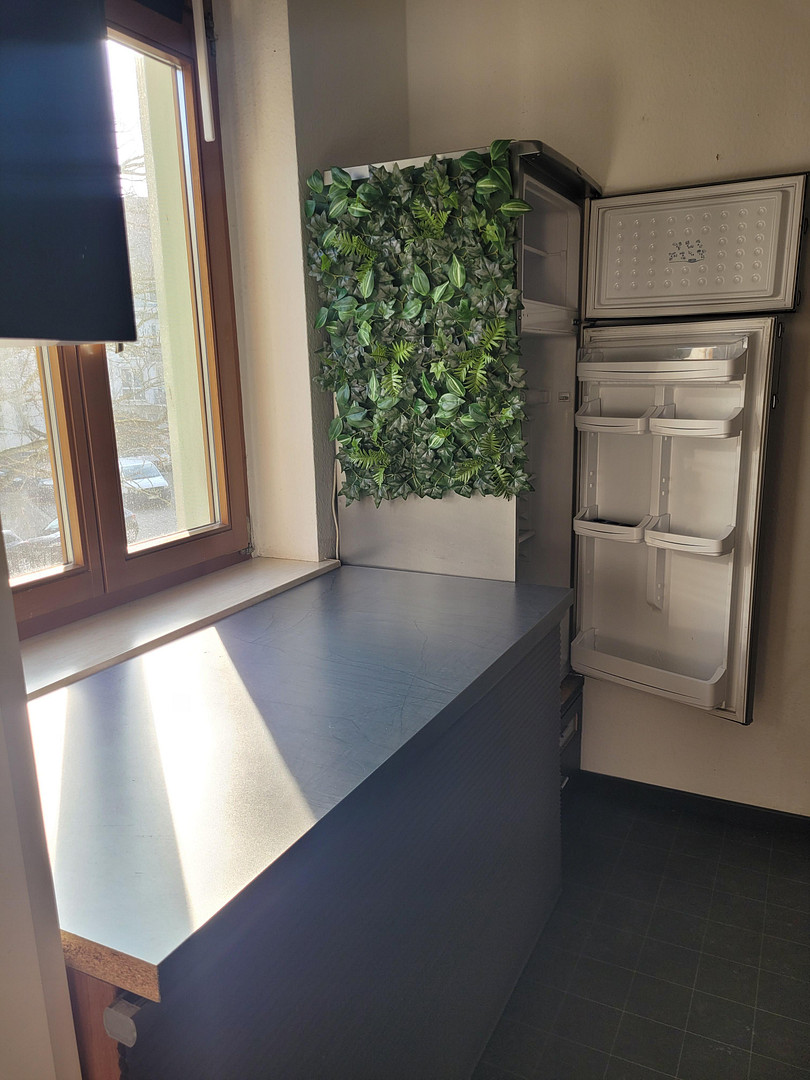 Über 5% Rendite! Tolle vermietete 2-Raumwohnung in Bestlage! – Gerhart- Hauptmann- Str. 20, 39108 Magdeburg(Stadtfeld) – Vorschaubild 8