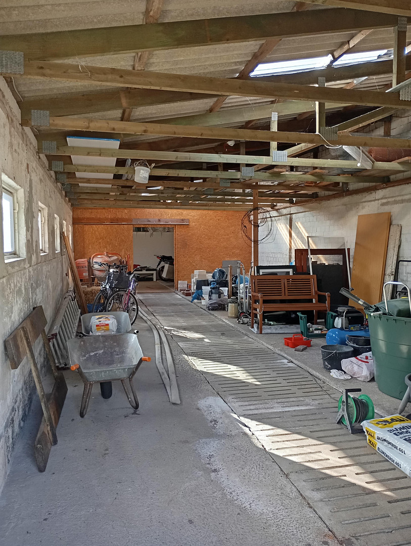 Provisionsfrei! Attraktiver Resthof, Einliegerwohnung, Ferienapartments, großer Halle und Hausweide – Averlak – Vorschaubild 34