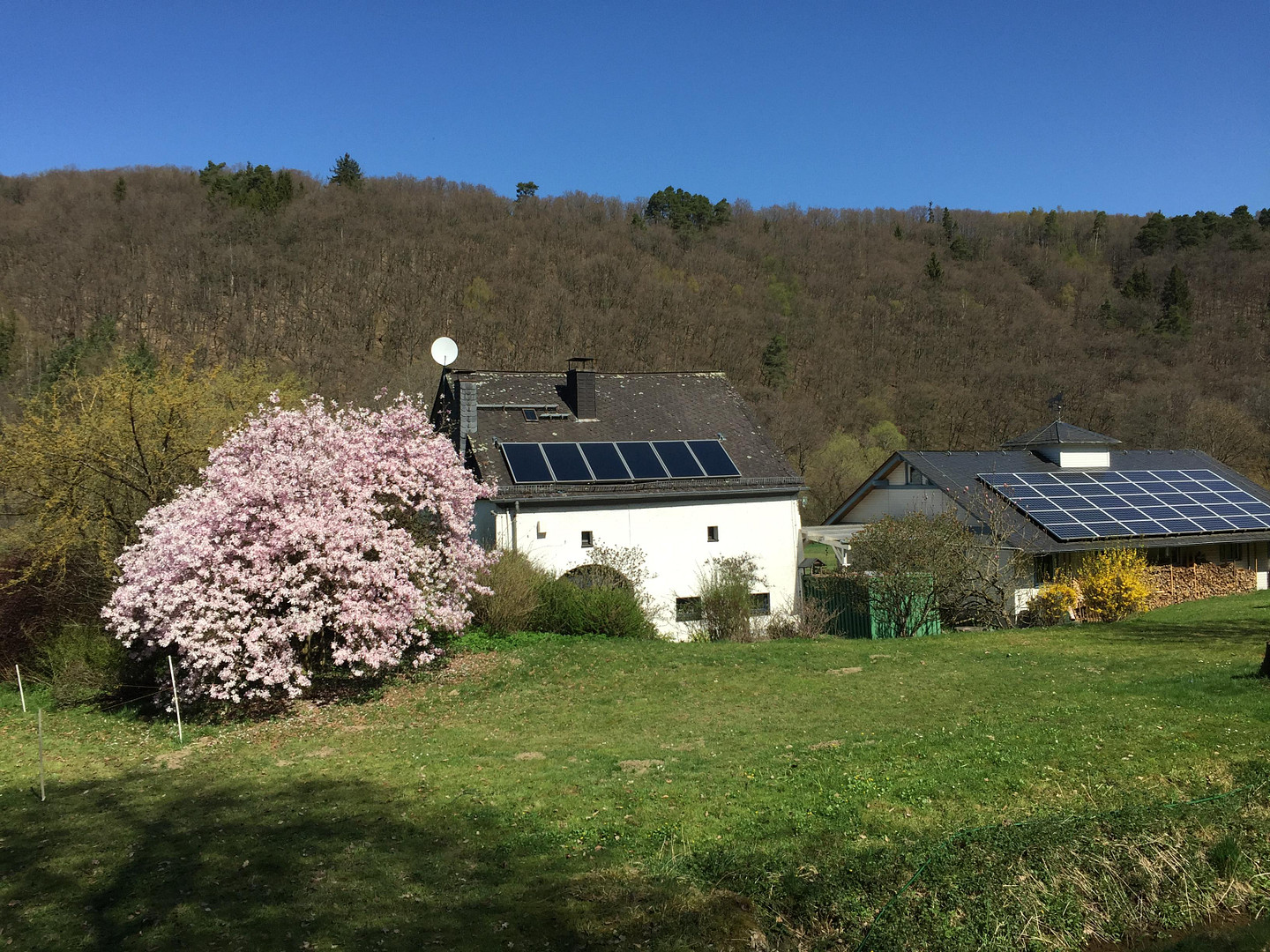 Ehemalige Mühle im Tal der Kleinen Dhron – Geisfeld – Vorschaubild 7