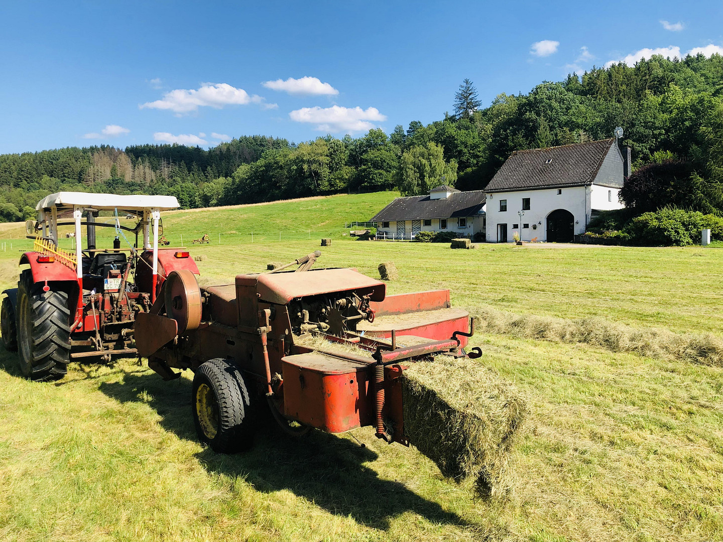 Ehemalige Mühle im Tal der Kleinen Dhron – Geisfeld – Vorschaubild 9