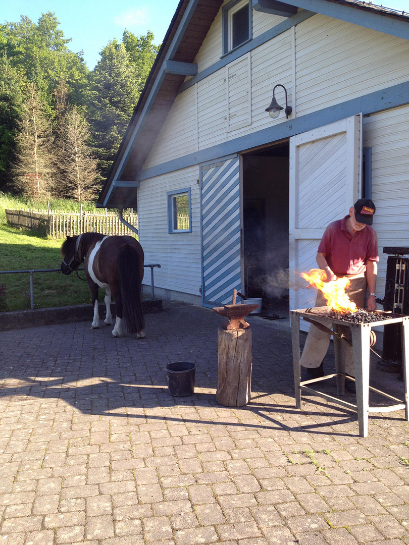 Ehemalige Mühle im Tal der Kleinen Dhron – Geisfeld – Vorschaubild 11