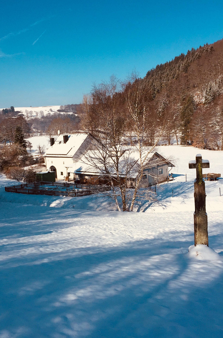 Ehemalige Mühle im Tal der Kleinen Dhron – Geisfeld – Vorschaubild 4