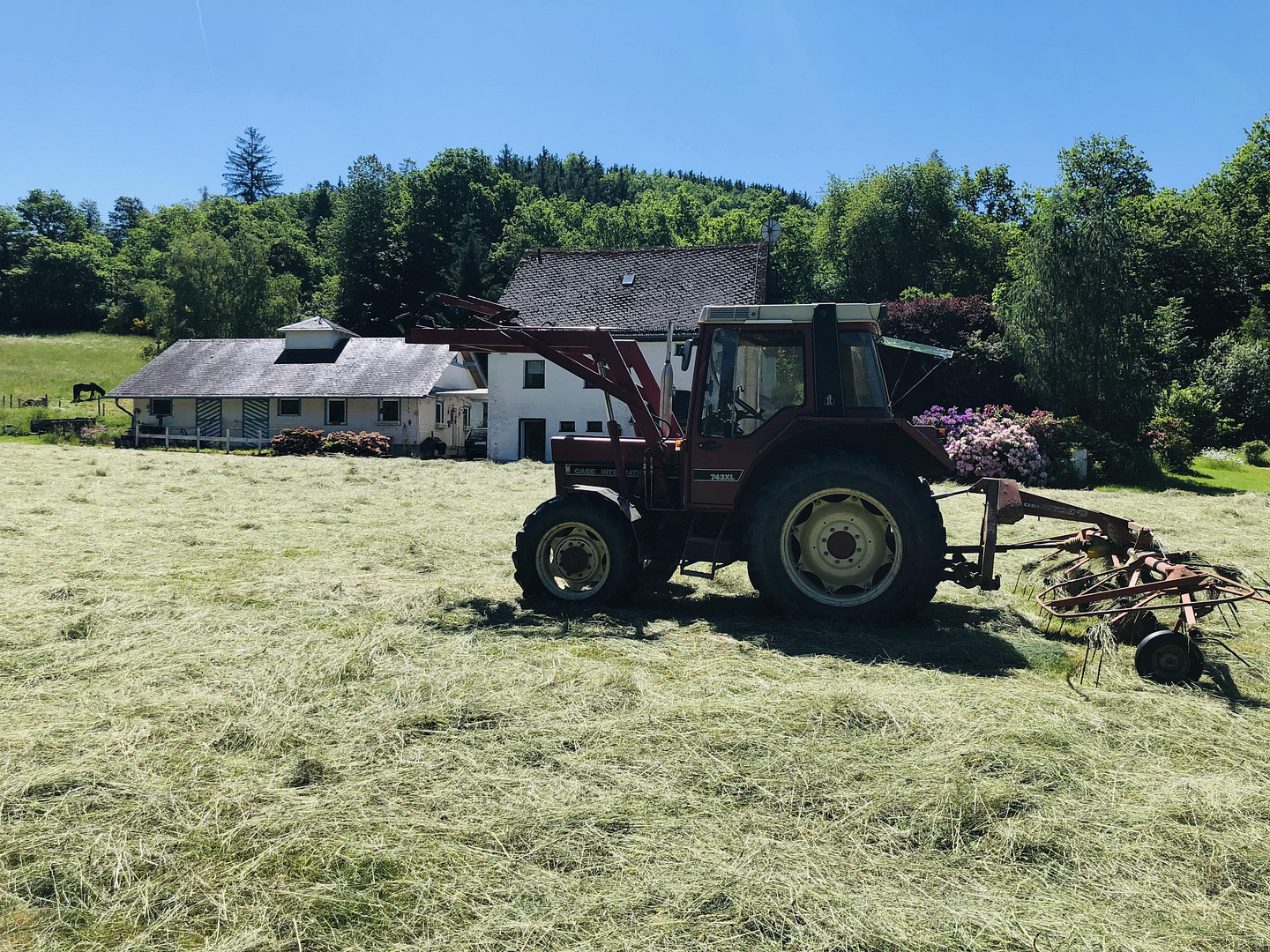 Ehemalige Mühle im Tal der Kleinen Dhron – Geisfeld – Vorschaubild 10