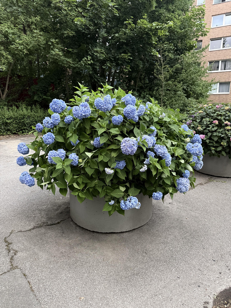 Exklusive 2-Zimmer-Wohnung am Belvedere – Holtenauer Straß – Holtenauer Straße 228, 24106 Kiel(Blücherplatz) – Vorschaubild 37