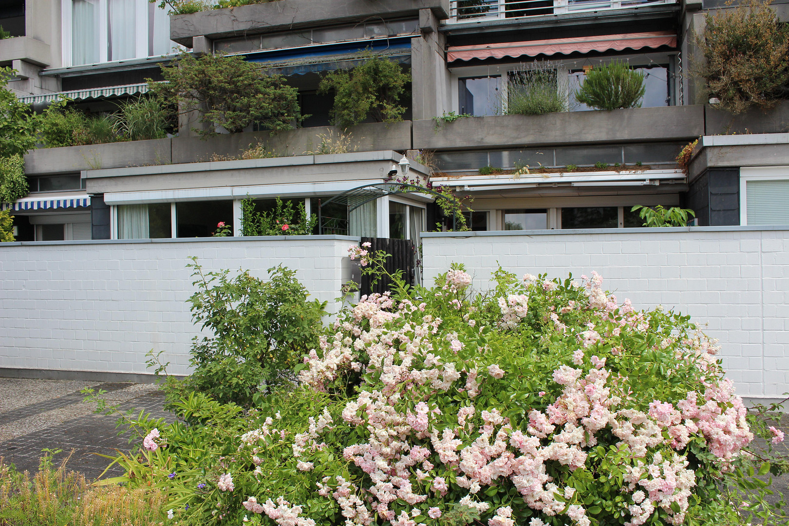 Wunderschöne 2-Zimmer-Wohnung mit eigenem Gartenhof im Terrassenhaus Hannover – 30455 Hannover(Davenstedt) – Vorschaubild 2