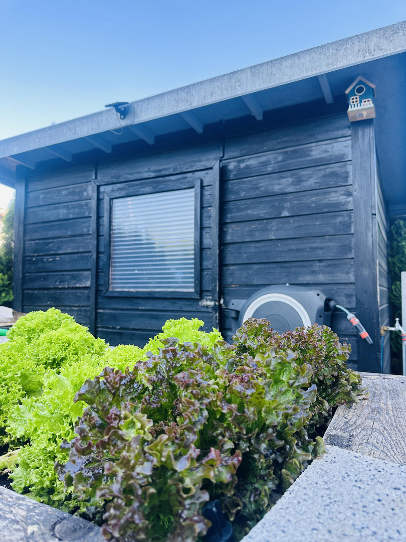 Einfamilienhaus – Wildberg – Vorschaubild 18