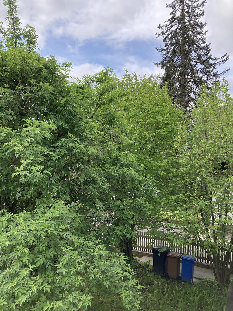 Gemütliche möblierte Wohnung mit Blick ins Grüne – München(Solln) – Vorschaubild 20