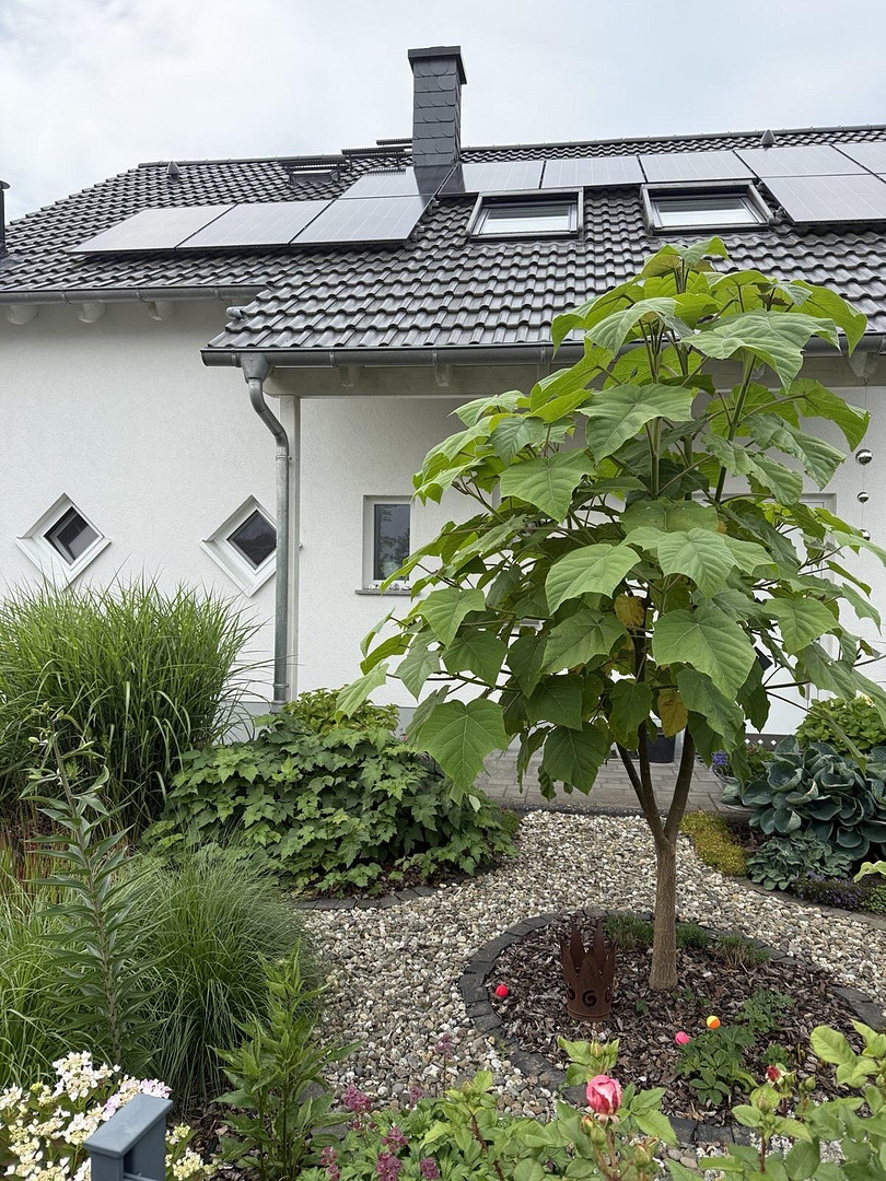 Freistehendes Einfamilienhaus in Ober-Rosbach (AC, PV, Solar, WP, etc.) - provisionsfrei – Rosbach(Ober-Rosbach) – Vorschaubild 2
