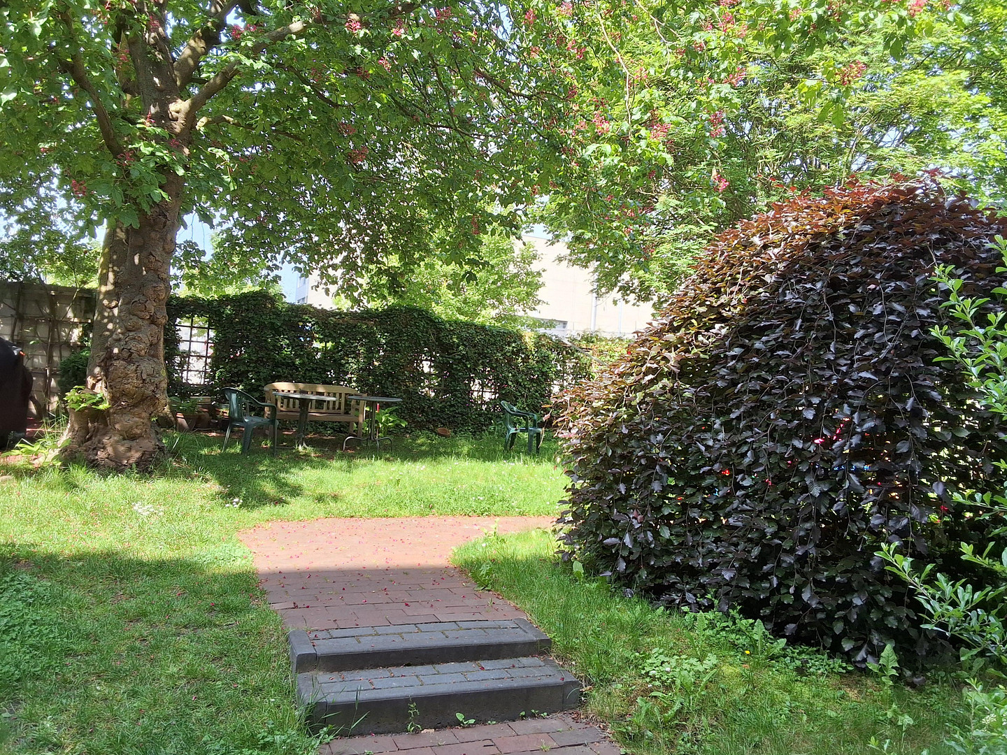Dachgeschosswohnung in Kassel - UNI/Hopla – Kassel – Vorschaubild 17