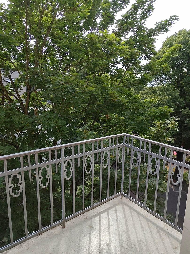Umfassend renovierte Wohnung im Jugendstilgebäude, provisionsfrei – Flüggestraße 1, 22303 Hamburg-Winterhude(Winterhude) – Vorschaubild 15