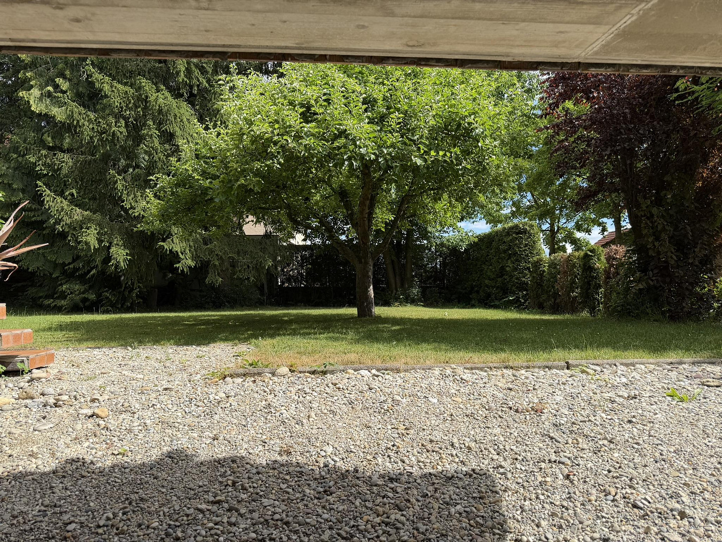 Zentrumsnah: Wohnhaus mit Galerie/Werkstatt, Einlieger-App.  & traumh. Naturgarten (834 qm) – Bad Füssing – Vorschaubild 7