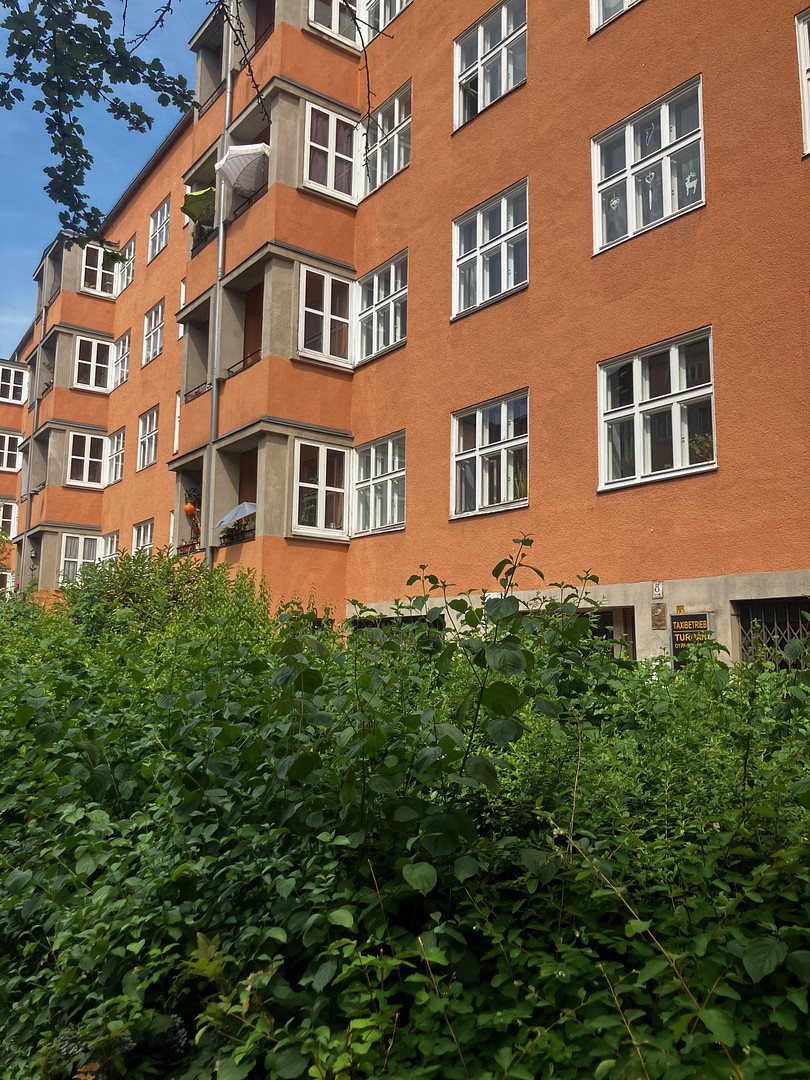 Wunderschön möblierte, frisch sanierte Wohnung in Schöneberg mit Sonnenbalkon & EBK – Traegerstr. 8, 12159 Berlin(Schöneberg) – Vorschaubild 25