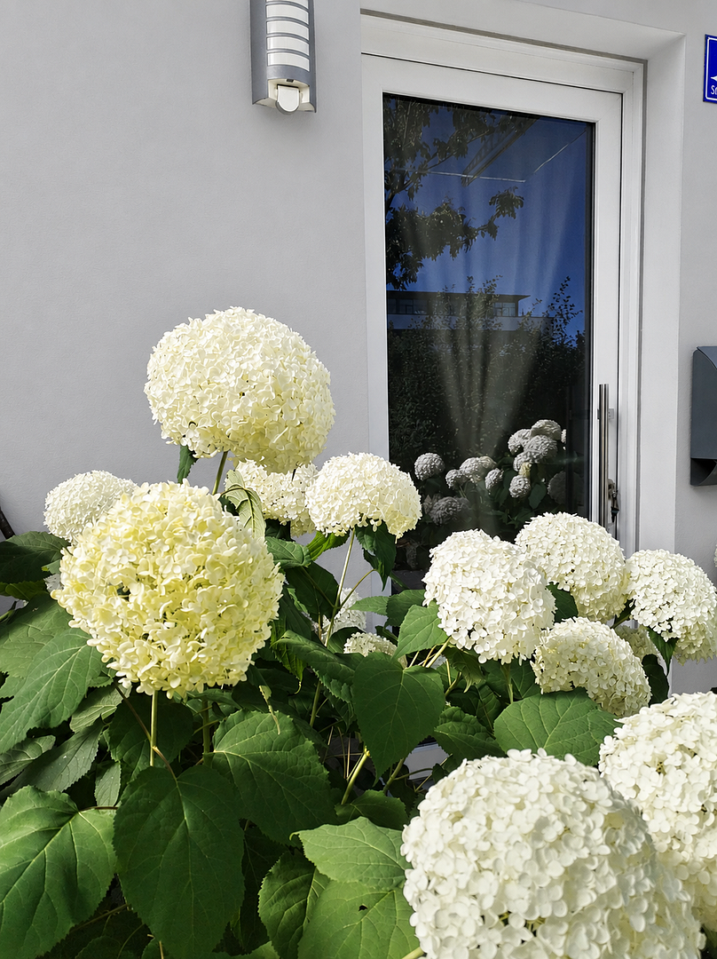 Modernes Wohnen in einer der Top-Wohnlagen Ingolstadts – Ingolstadt – Vorschaubild 4
