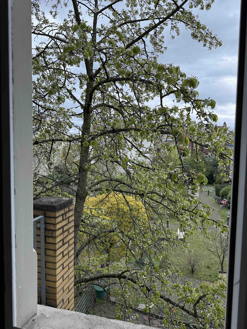 Martinsviertel, Südbalkon, 3 ZKB mit EBK - ruhig, attraktiv mit Charme – von Privat – Kaupstraße 5, 64289 Darmstadt – Vorschaubild 7