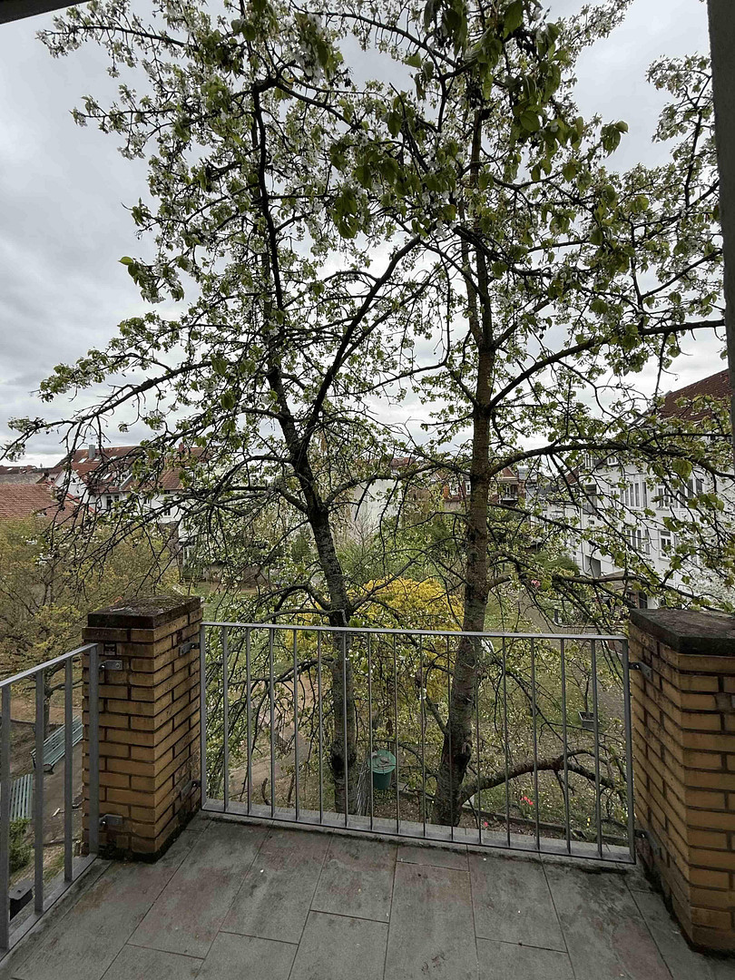 Martinsviertel, Südbalkon, 3 ZKB mit EBK - ruhig, attraktiv mit Charme – von Privat – Kaupstraße 5, 64289 Darmstadt – Vorschaubild 11