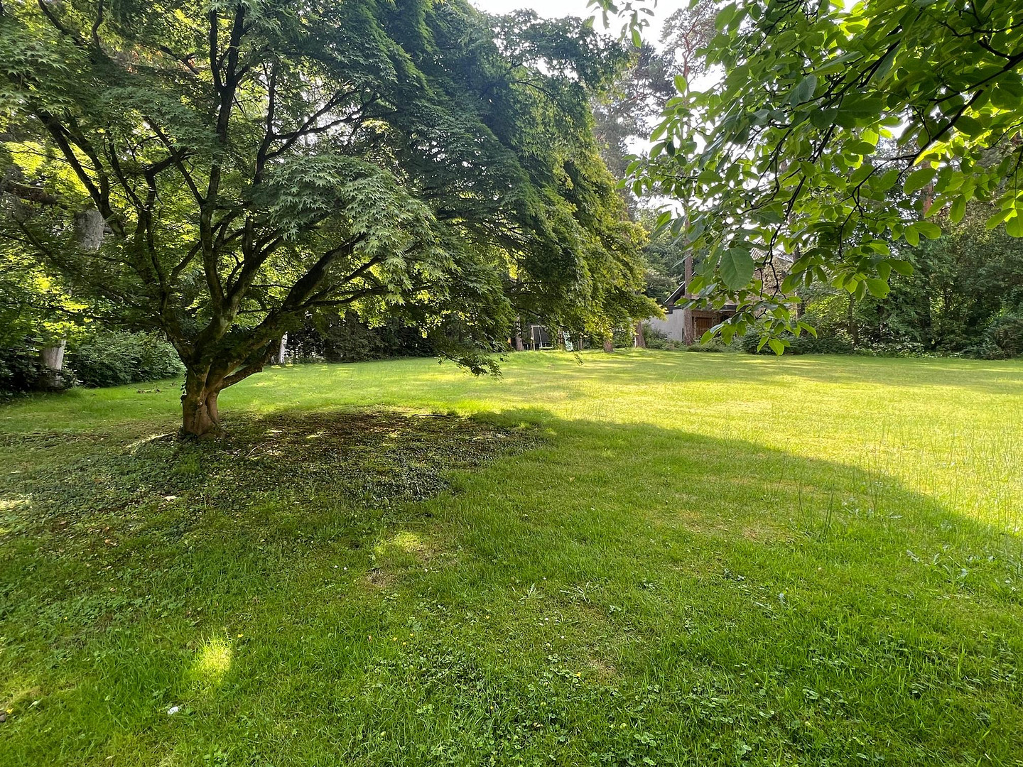 Exquisites Wohnerlebnis: 5 Zimmer, 3 Balkone, 2 Ebenen, Klima, Garage und und und..... – Thielenbrucher Allee 11, 51069 Köln(Dellbrück) – Vorschaubild 4