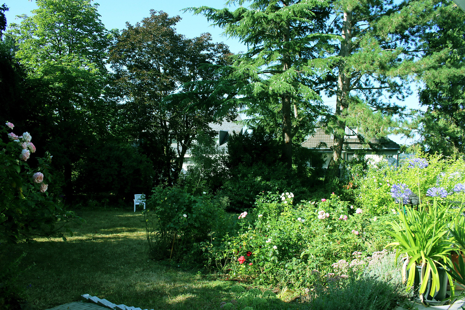 Charmante Villa auf großzügigem, teilbarem Grundstück, alter Baumbestand und unverbaubarer Höhenlage – 56077 Koblenz – Vorschaubild 12