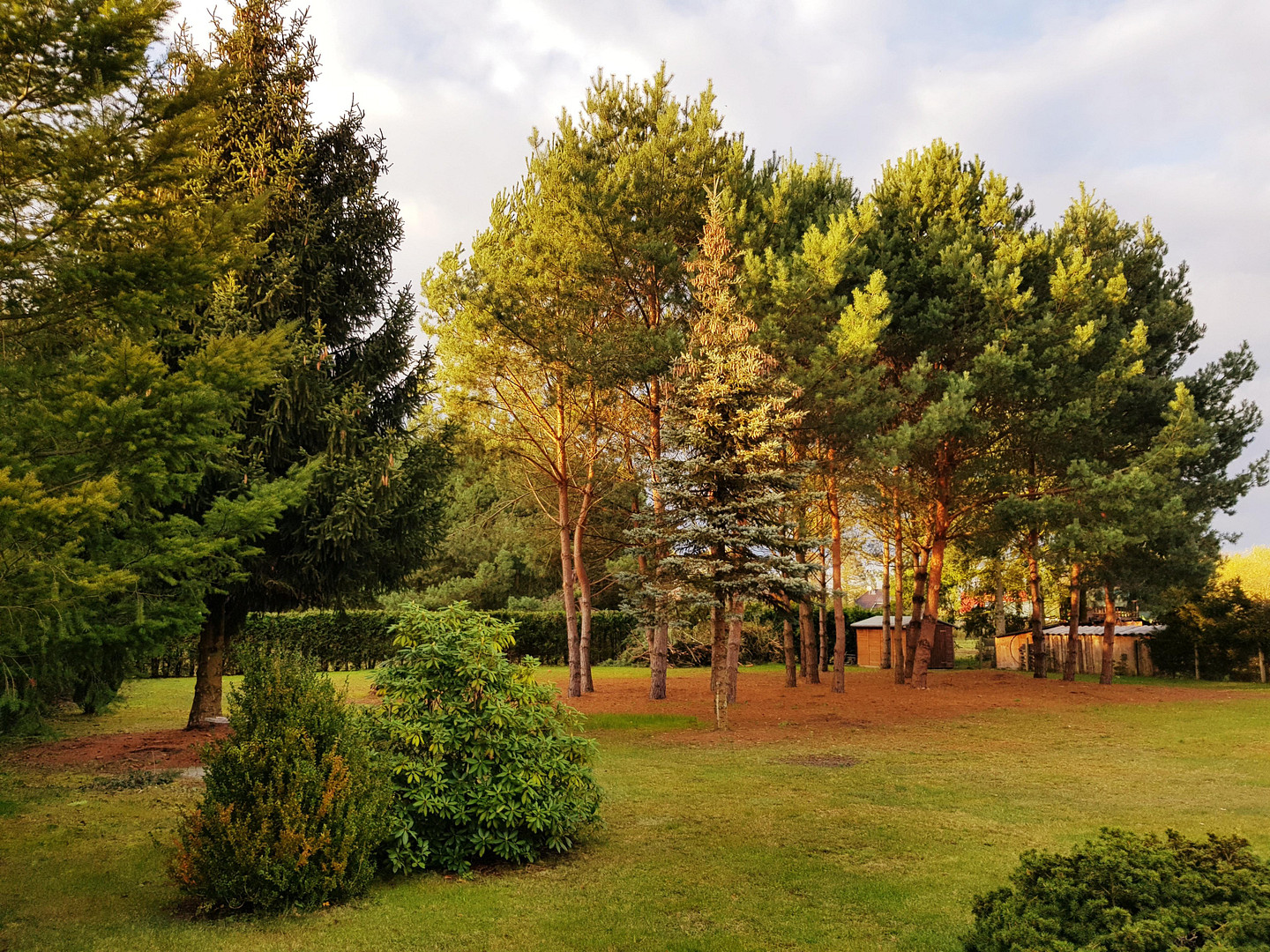 Heidesee/Berliner Südosten: Praktische 2-Zimmer Whg., tolle Natur, Berlin-City 45min, BER 25min – Gräbendorfer Str 11b, 15754 Heidesee(Gussow) – Vorschaubild 14