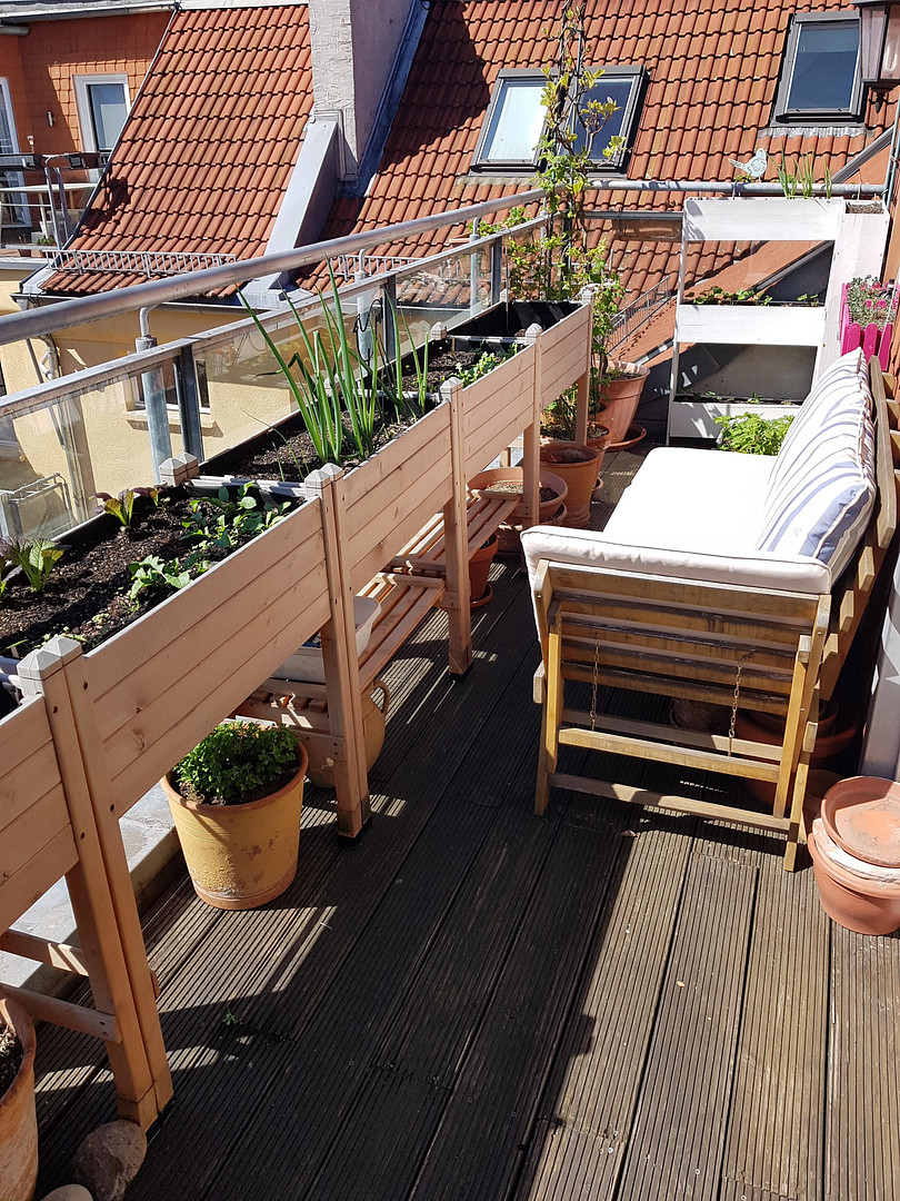 Große Dachgeschosswohnung im ruhigen Gartenhaus mit Terrasse–mitten im Samariterkiez/Friedrichshain – 10247 Berlin(Friedrichshain) – Vorschaubild 9