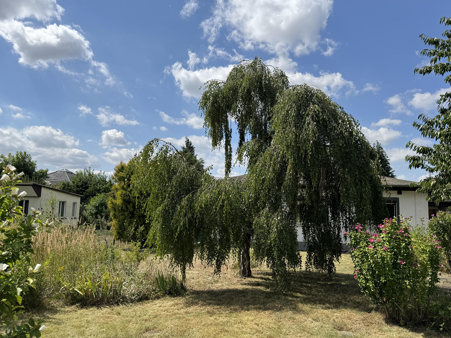 Wohnbaugrundstück mit kleinem Einfamilienhaus und Neubauperspektive • provisions- und bauträgerfrei – 4207 Leipzig(Grünau) – Vorschaubild 3