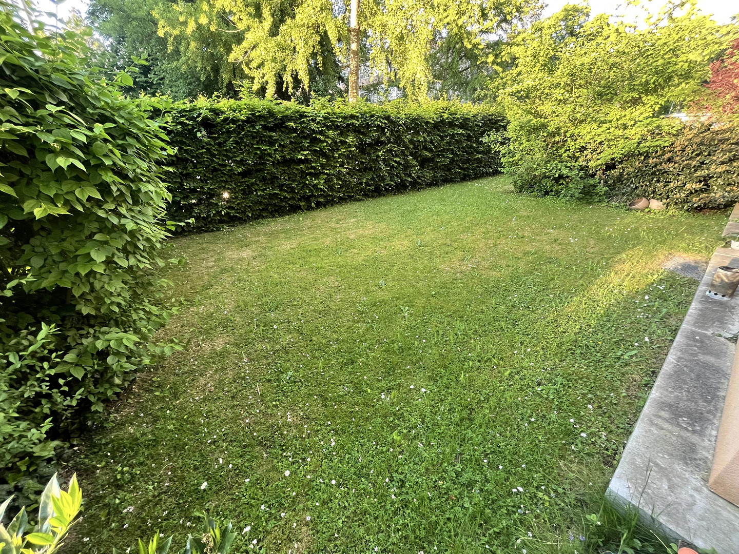 Gartenparadies in Freiburg Herdern * ohne Provision * – 79104 Freiburg(Herdern) – Vorschaubild 11