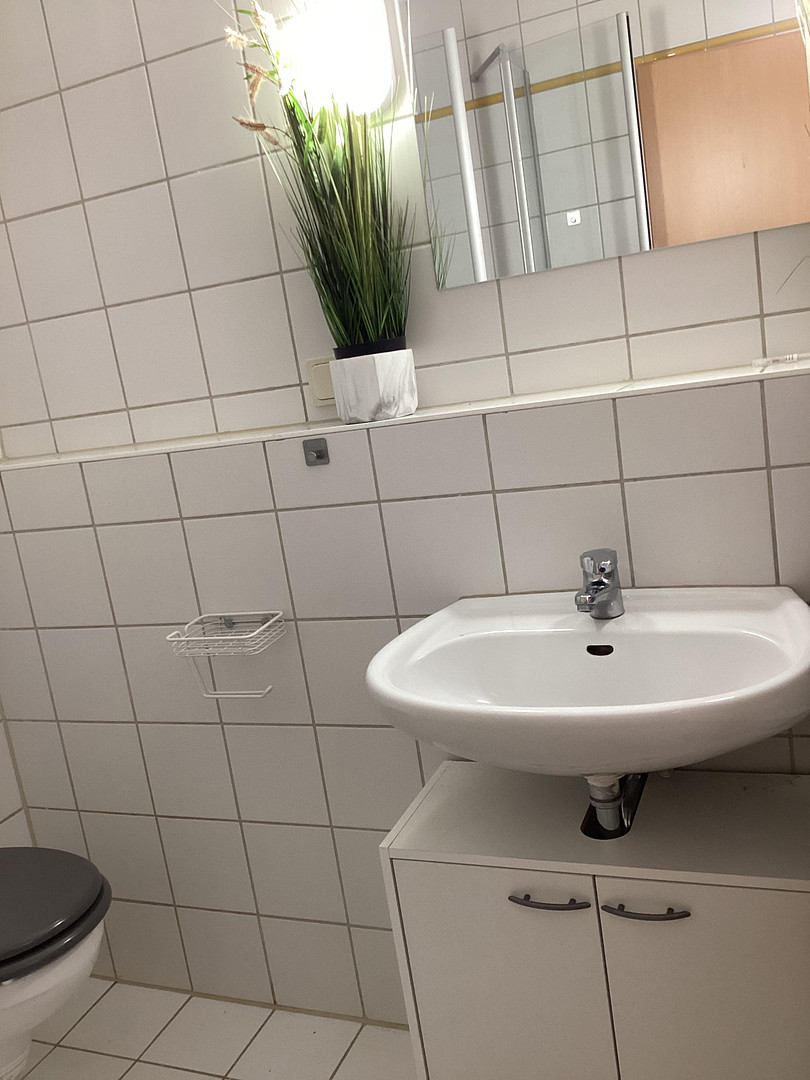 Lichtdurchflutete 1-Zimmer-Wohnung mit moderner Einbauküche & TG-Stellplatz – Klingerstr. 51, 9117 Chemnitz(Siegmar) – Vorschaubild 6