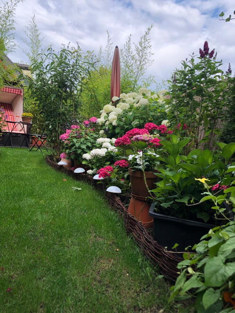 Schöne 2 Zimmer-Gartenwohnung in Ruhiger Lage – 80935 München(Hasenbergl) – Vorschaubild 12