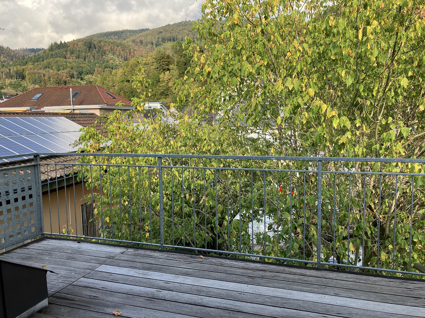 Großzügige 3 1/2-Zimmer-Wohnung mit Dachterrasse und hochwertiger Einbauküche in Wehr (Hochrhein)