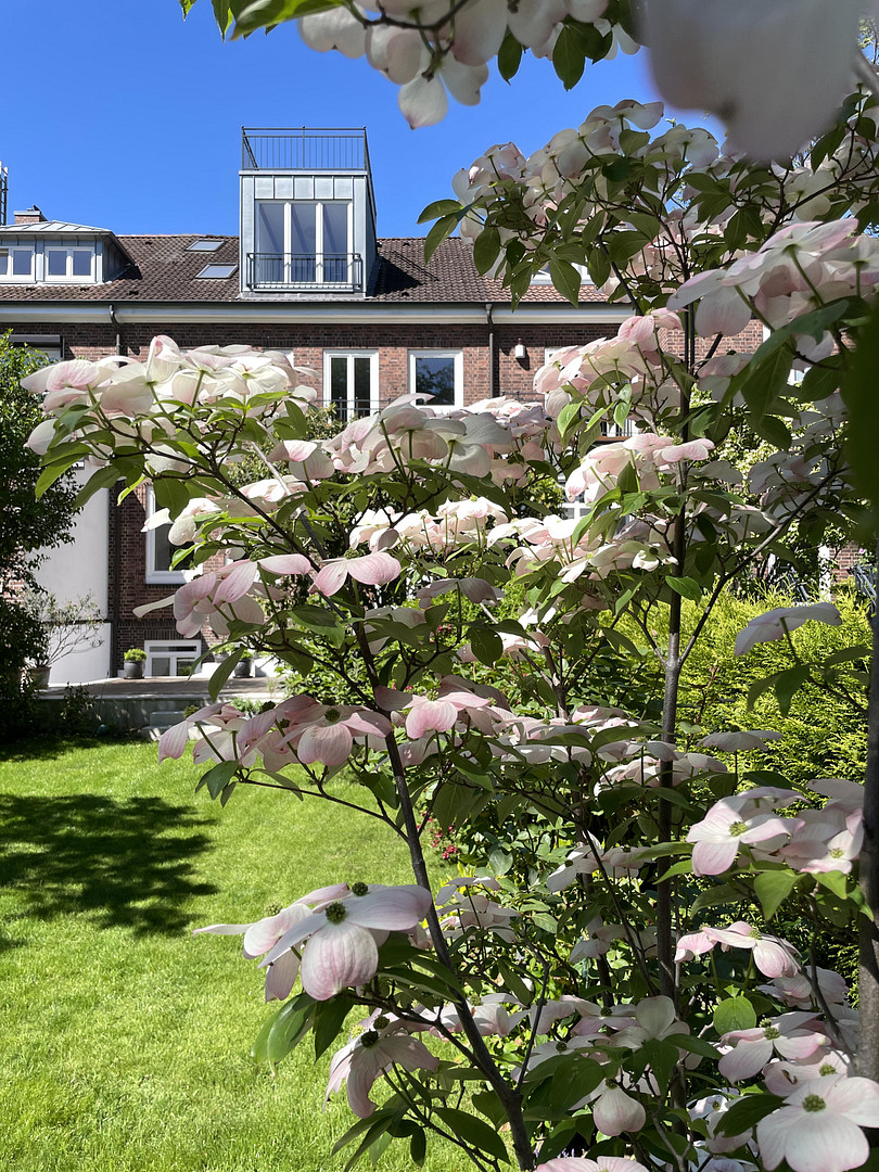 Großzügiges Familienhaus am Stadtpark – 22303 Hamburg(Winterhude) – Vorschaubild 3