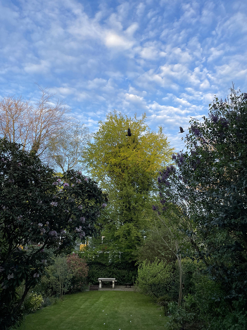 Großzügiges Familienhaus am Stadtpark – 22303 Hamburg(Winterhude) – Vorschaubild 21