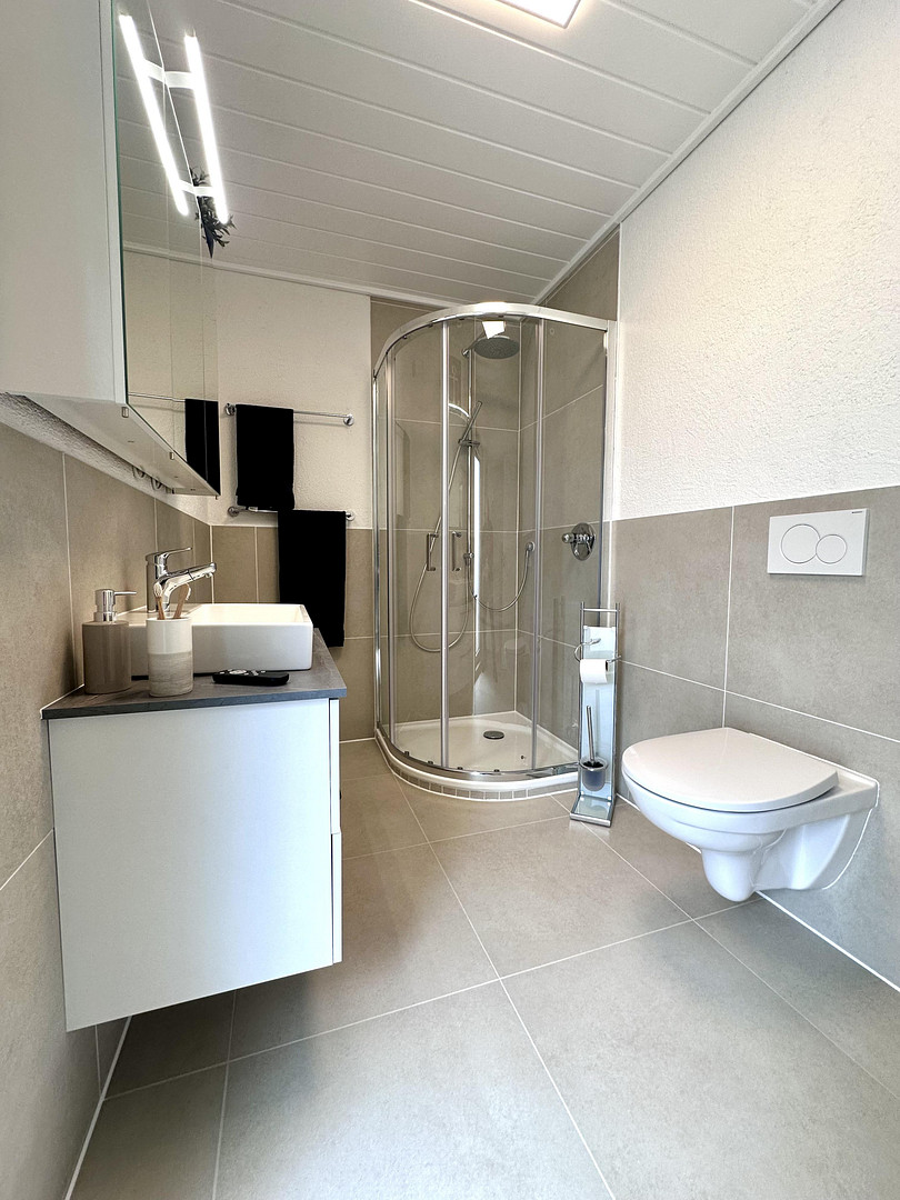 Provisionsfrei: Exklusives Penthouse mit XXL-Dachterrasse und Loggia – 66955 Pirmasens – Vorschaubild 12